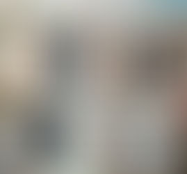 A importância da Organização