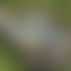 Emais lança complexo imobiliário com resort em Rio Preto