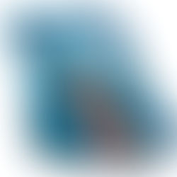 A Senhora Yes! Sueli Kaiser