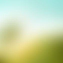 Como ter um ano realmente novo?