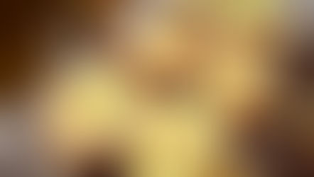 福岡美食サークル活動報告 - 2025年4Q