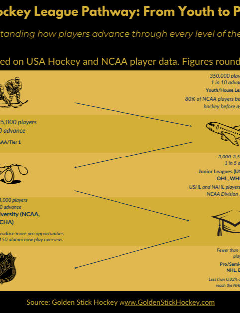 Hockey Development Pyramid: Levels of Hockey From Youth to NHL