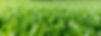 shutterstock_1988668364.jpg