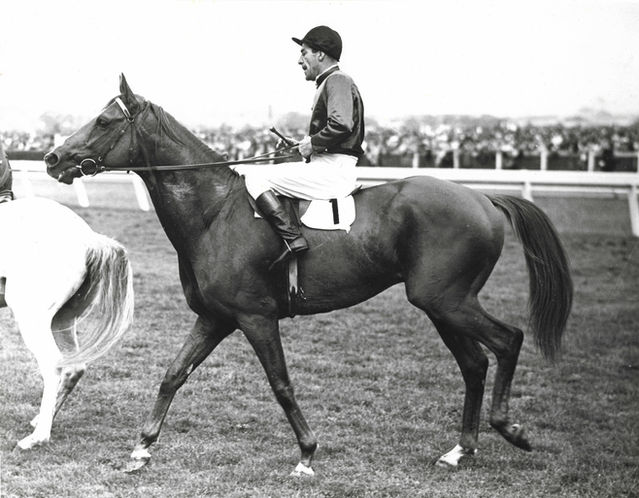 Melbourne Cup, Flemington Racecourse