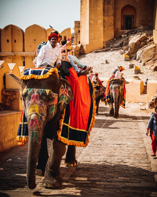 Caparisoned elephants on the Amber ramp