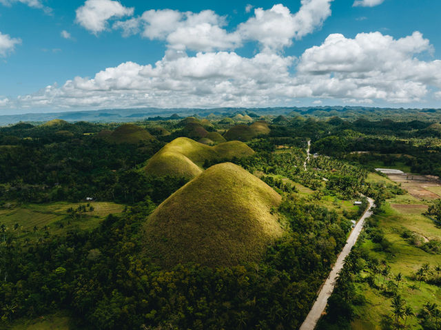 An aerial view of a lush green landscape