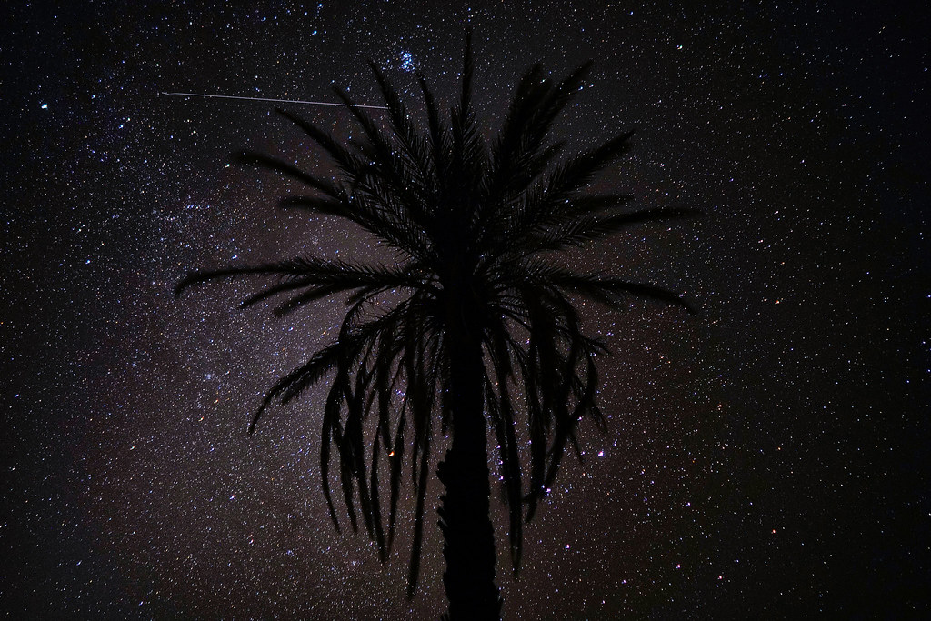Sahara Desert — photo 13