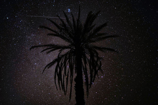 Sahara Desert — photo 13