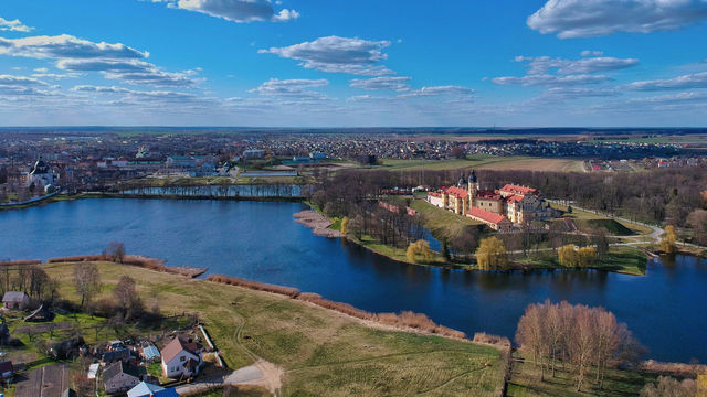 aerial view of green grass field near body of water during daytime
