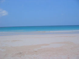 Pink Sands Beach
