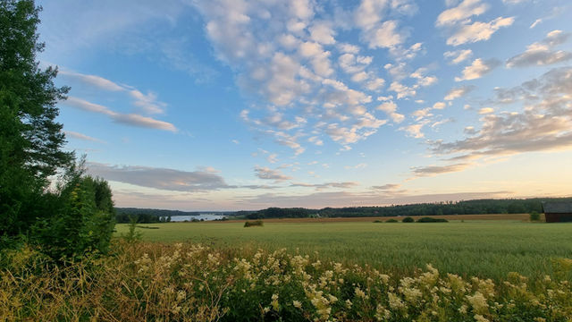 Sweden
