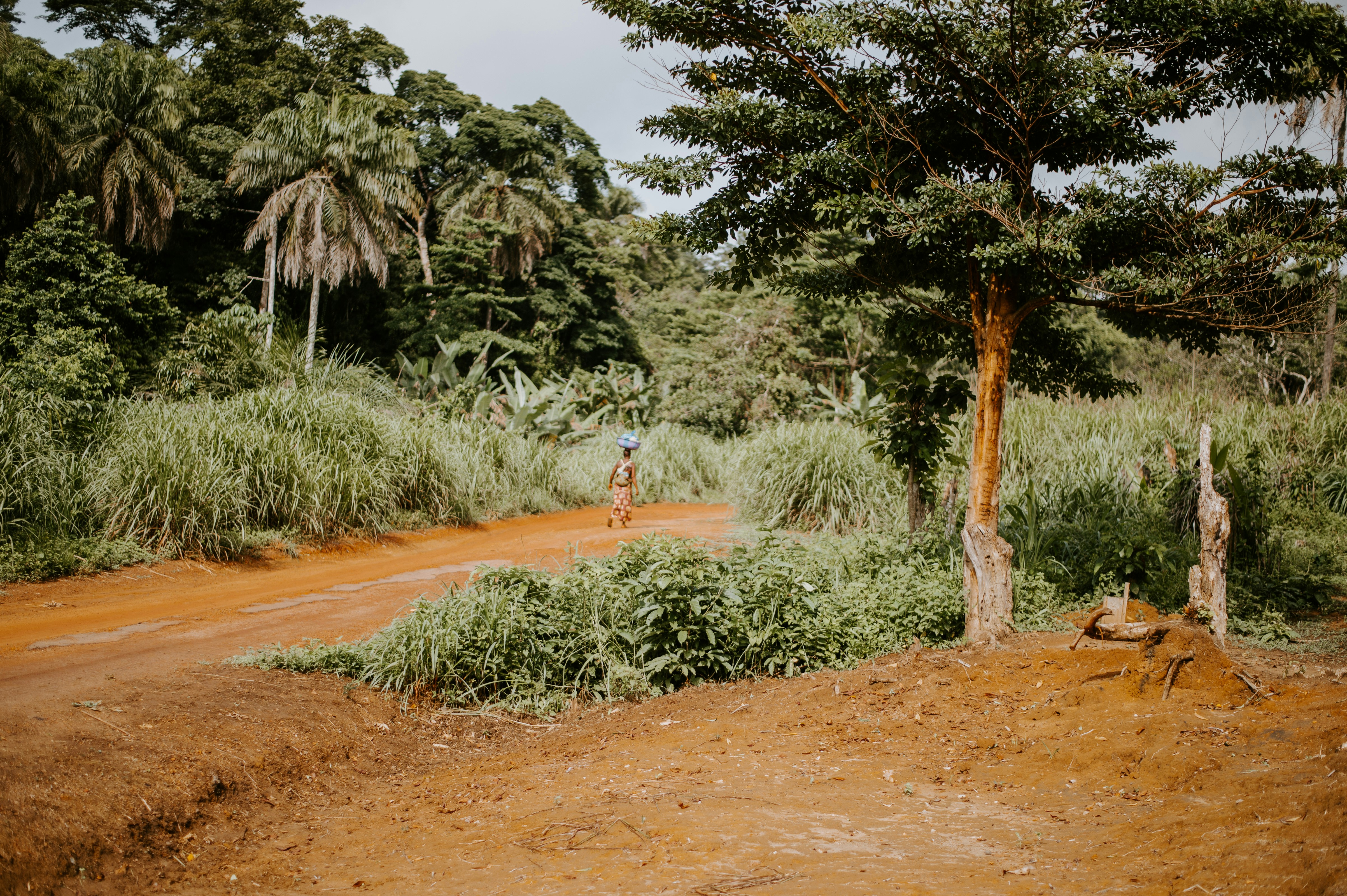 Central African Republic — image 4