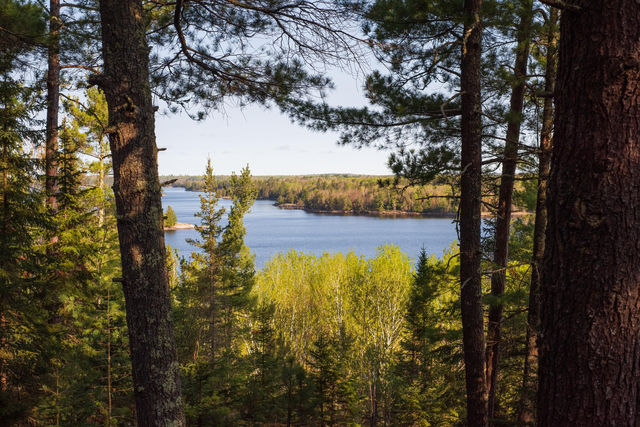 Photograph of lake in distance viewed through trees.