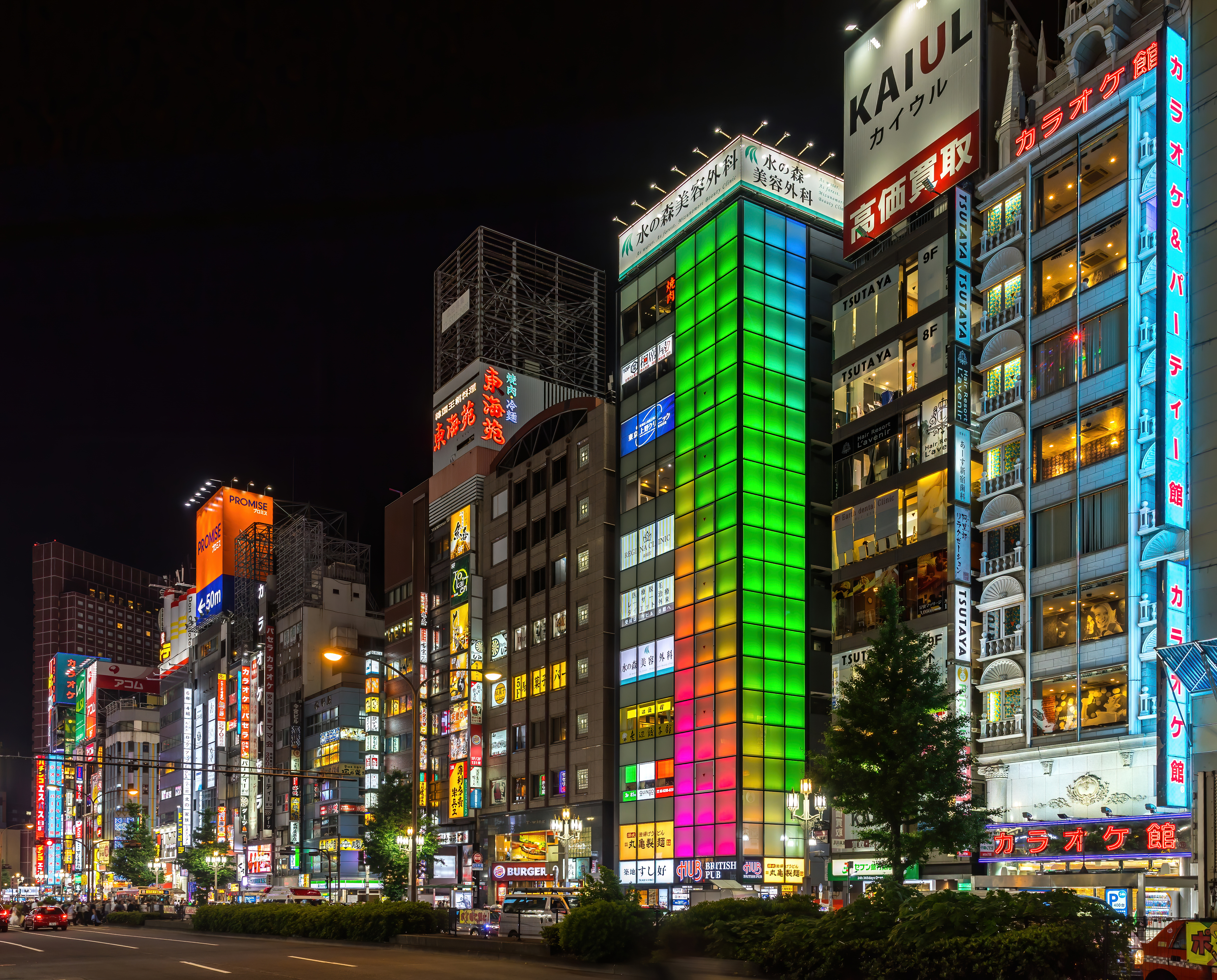 Shinjuku entertainment district, Tokyo