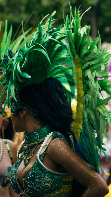 Green and yellow feathers framing a smile