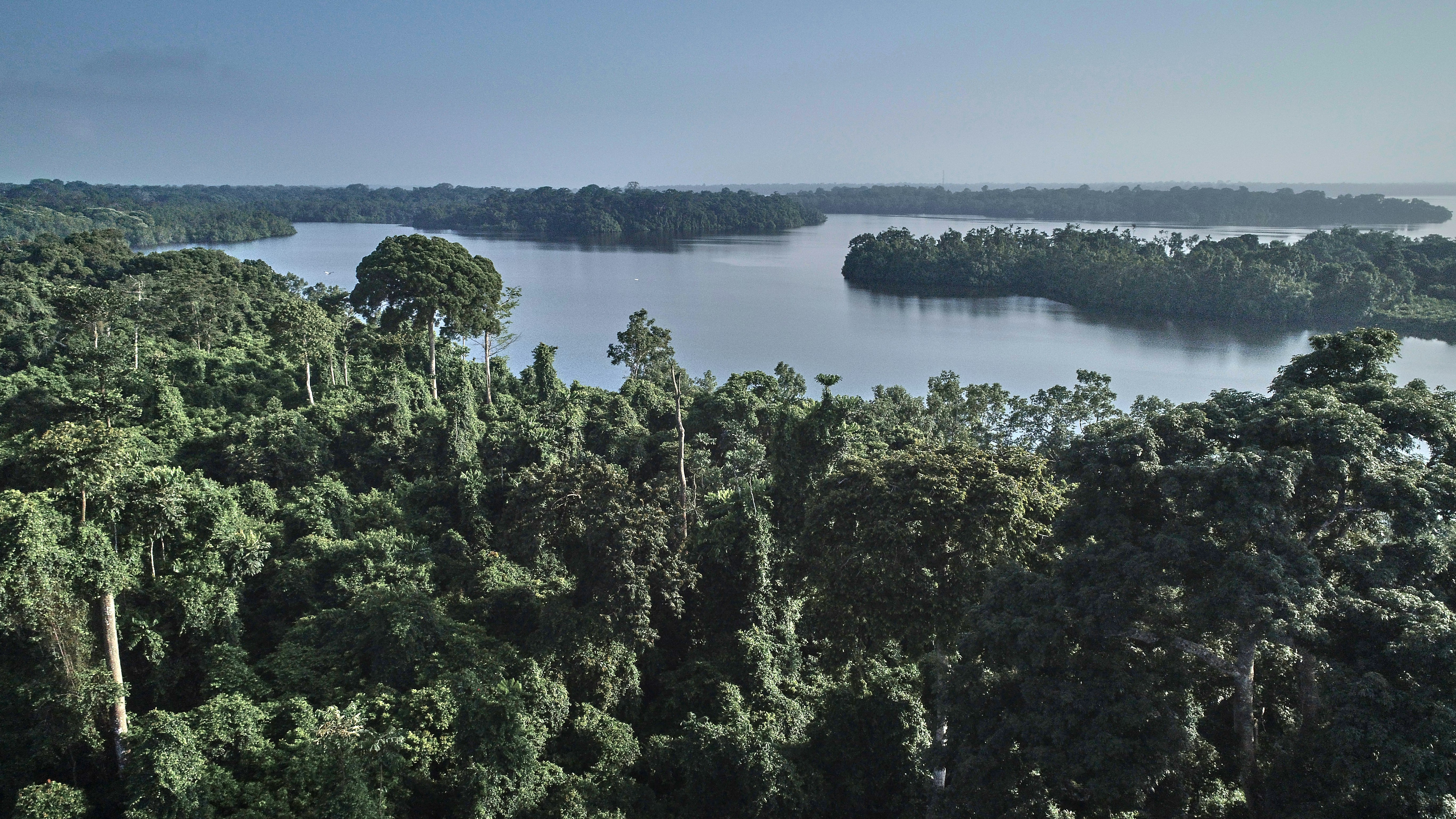 Gabon — image 2