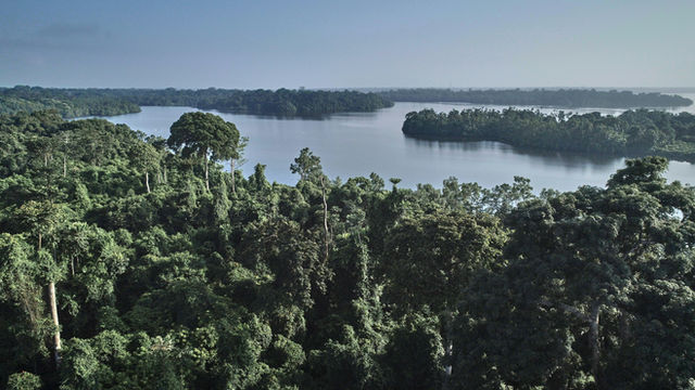 an aerial view of a lake surrounded by trees