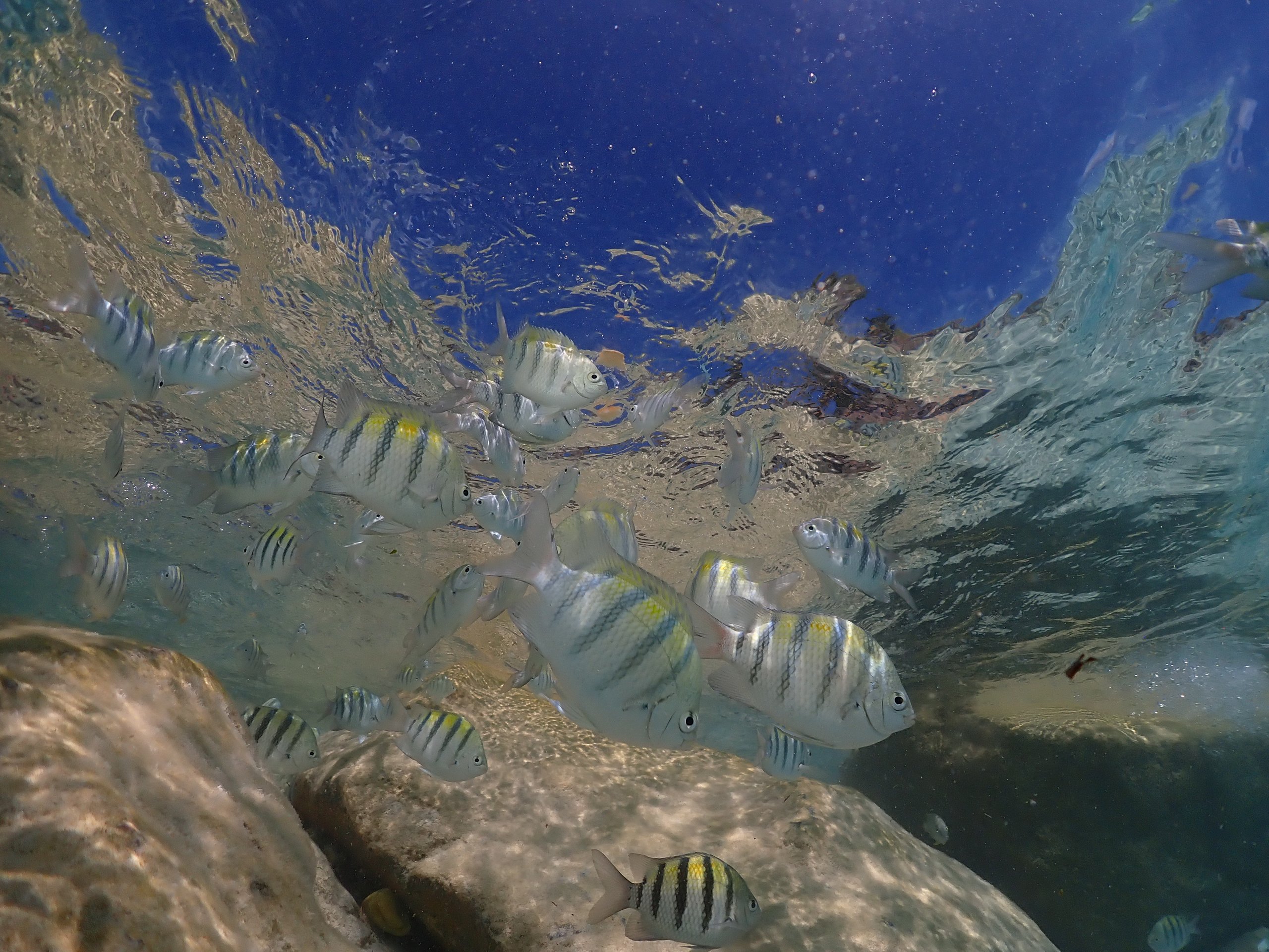 Bimini, The Bahamas