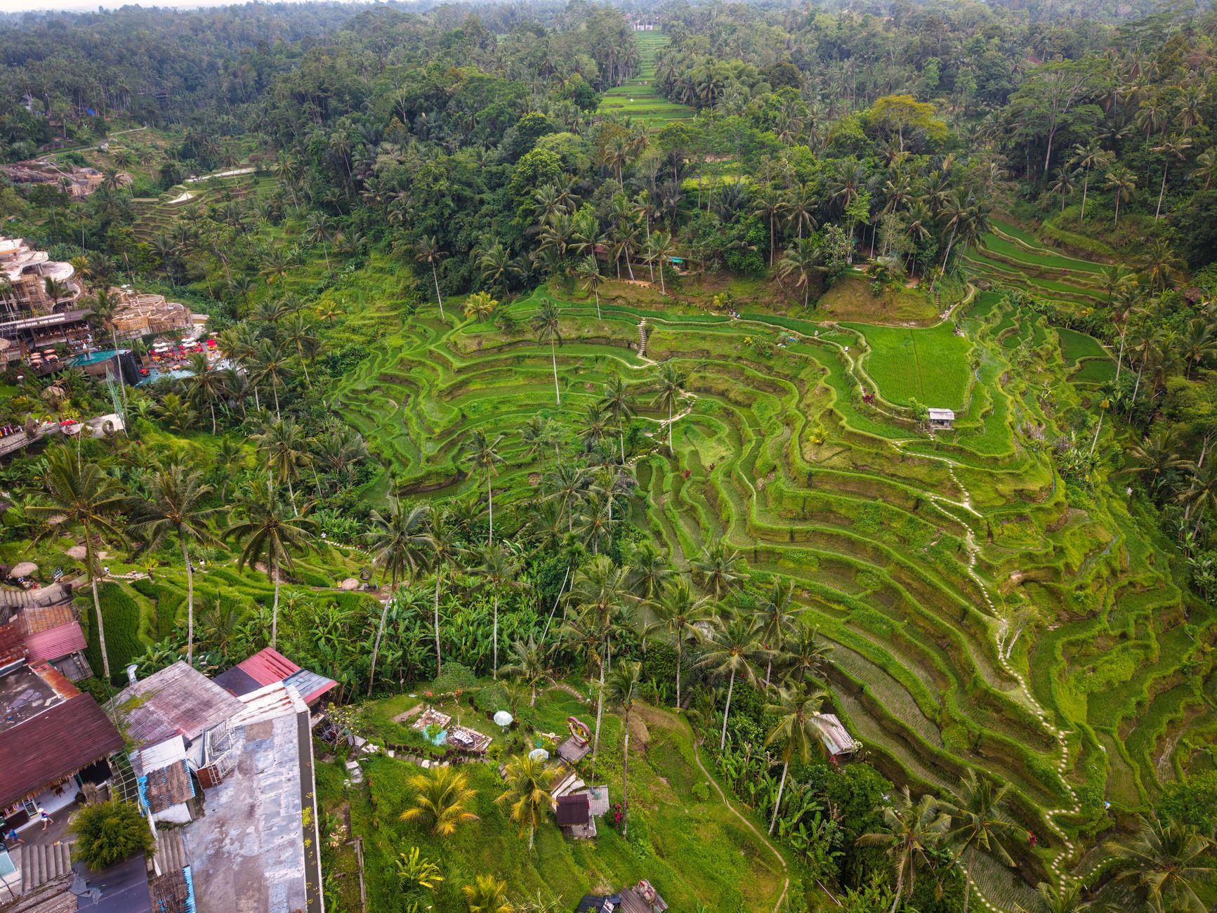 Ubud's rice terraces, the clifftop Uluwatu Temple and a Seminyak sunset — a 7-day Bali itinerary