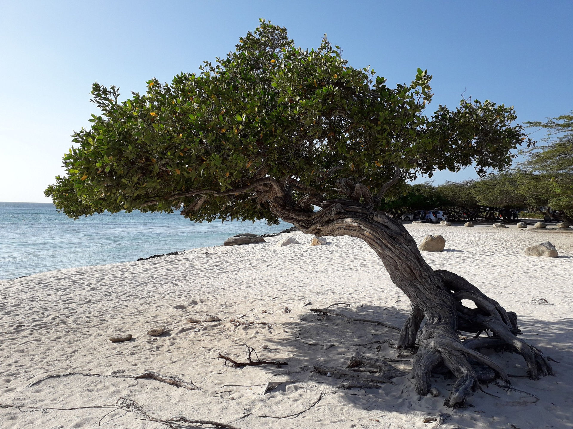 Aruba — hero