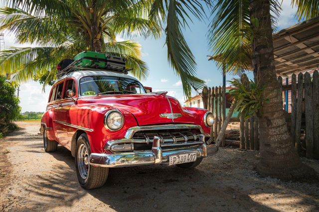 red and white vintage car parked beside palm tree during daytime