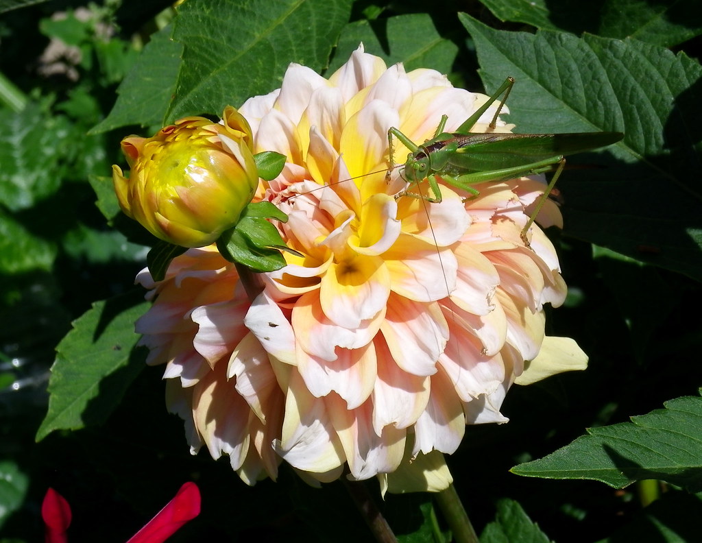 Loire Valley — photo 9