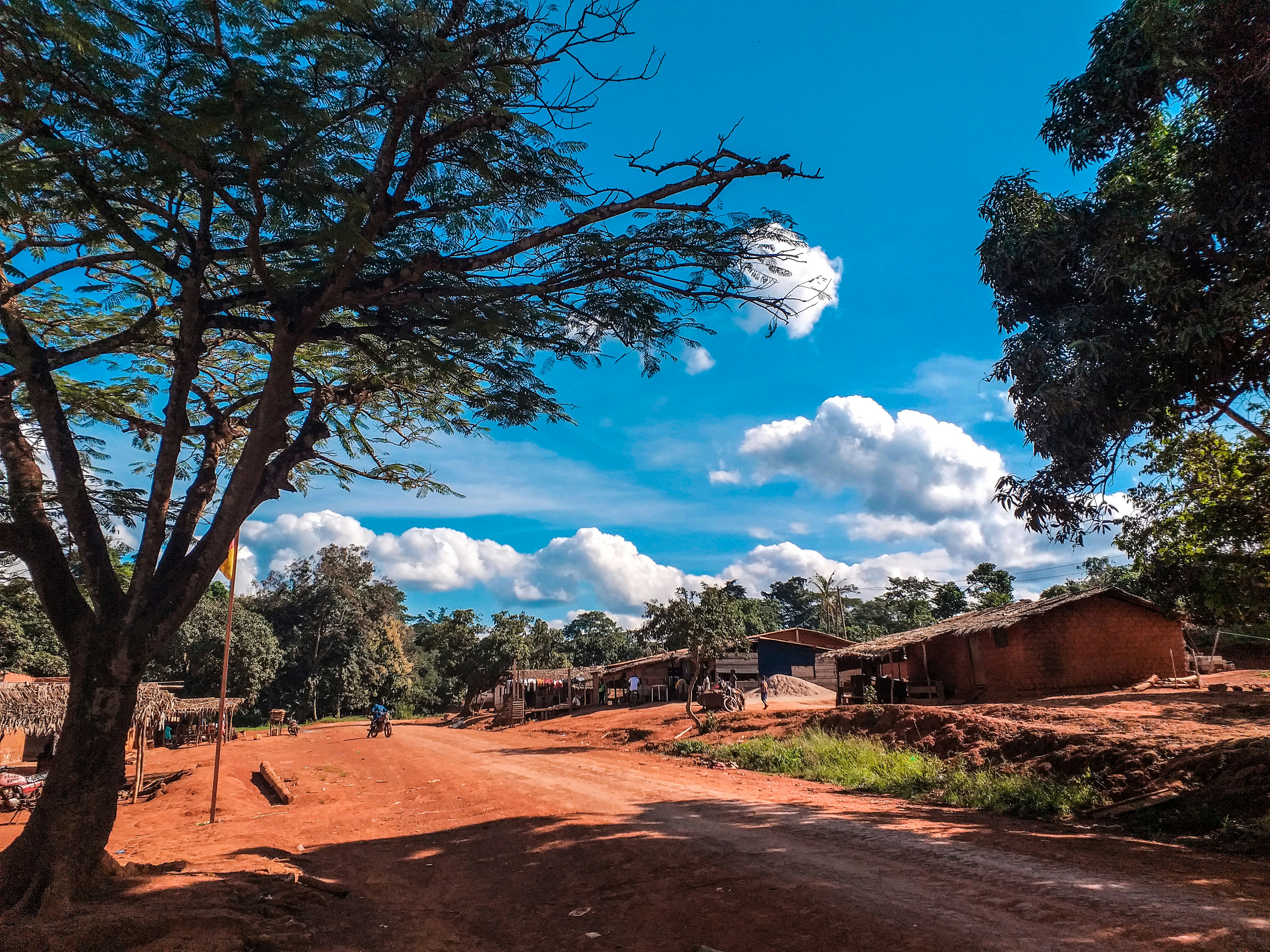 Cameroon — image 2
