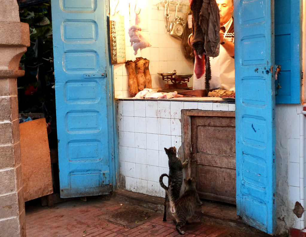 Essaouira — photo 10