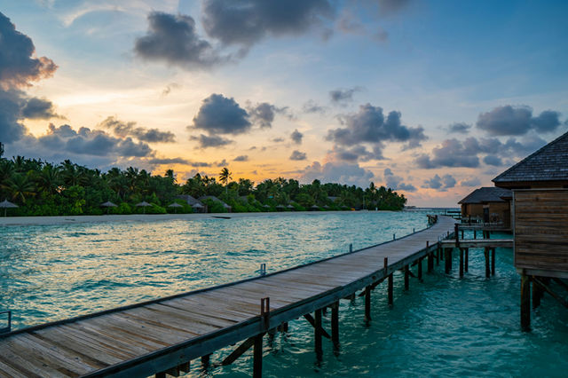brown wooden dock on body of water during daytime