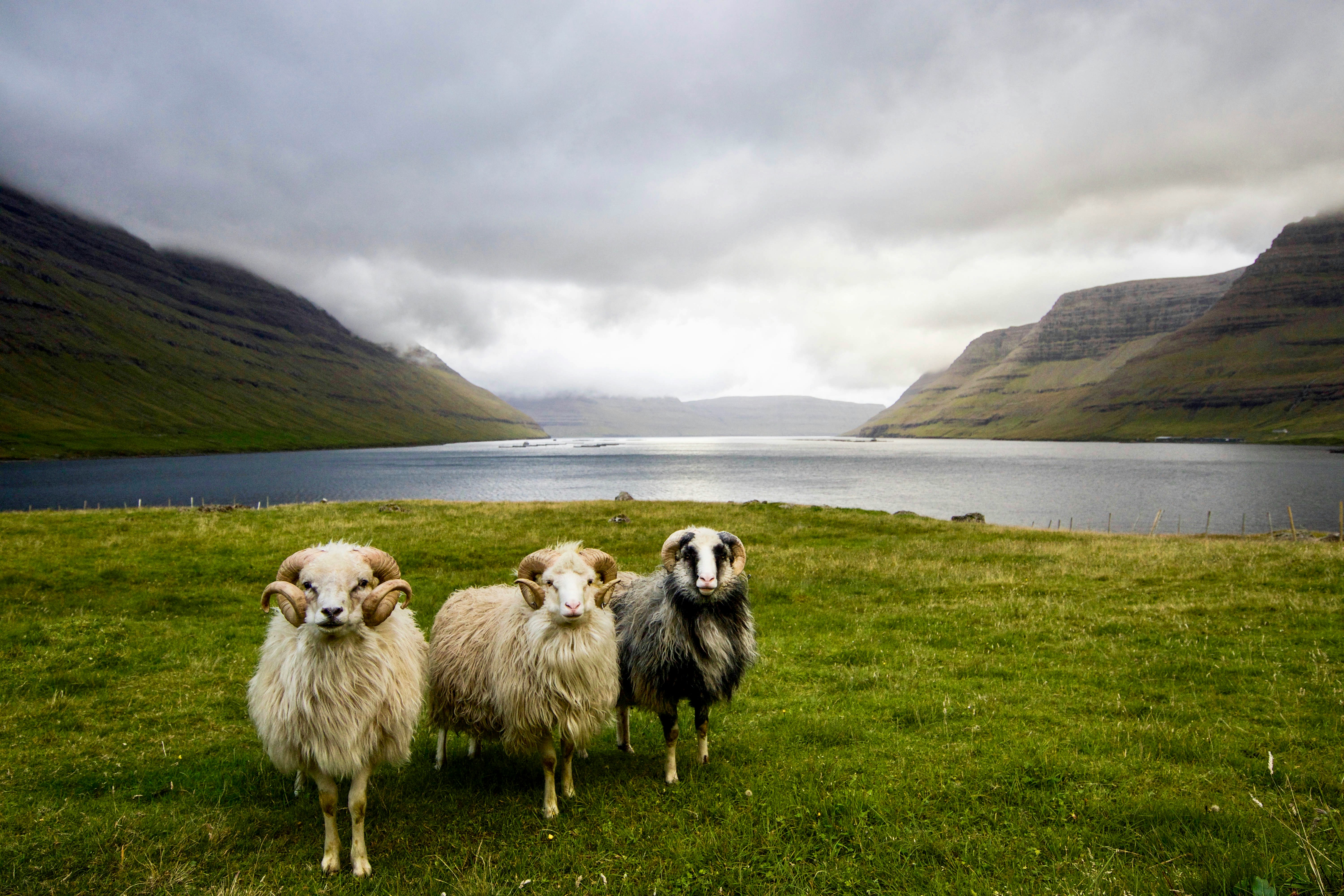 Faroe Islands — image 5