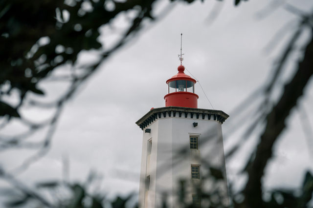 Lighthouse through branches. A little red-capped lighthouse framed by out-of-focus branches. Kind of sand and melancholic mood.