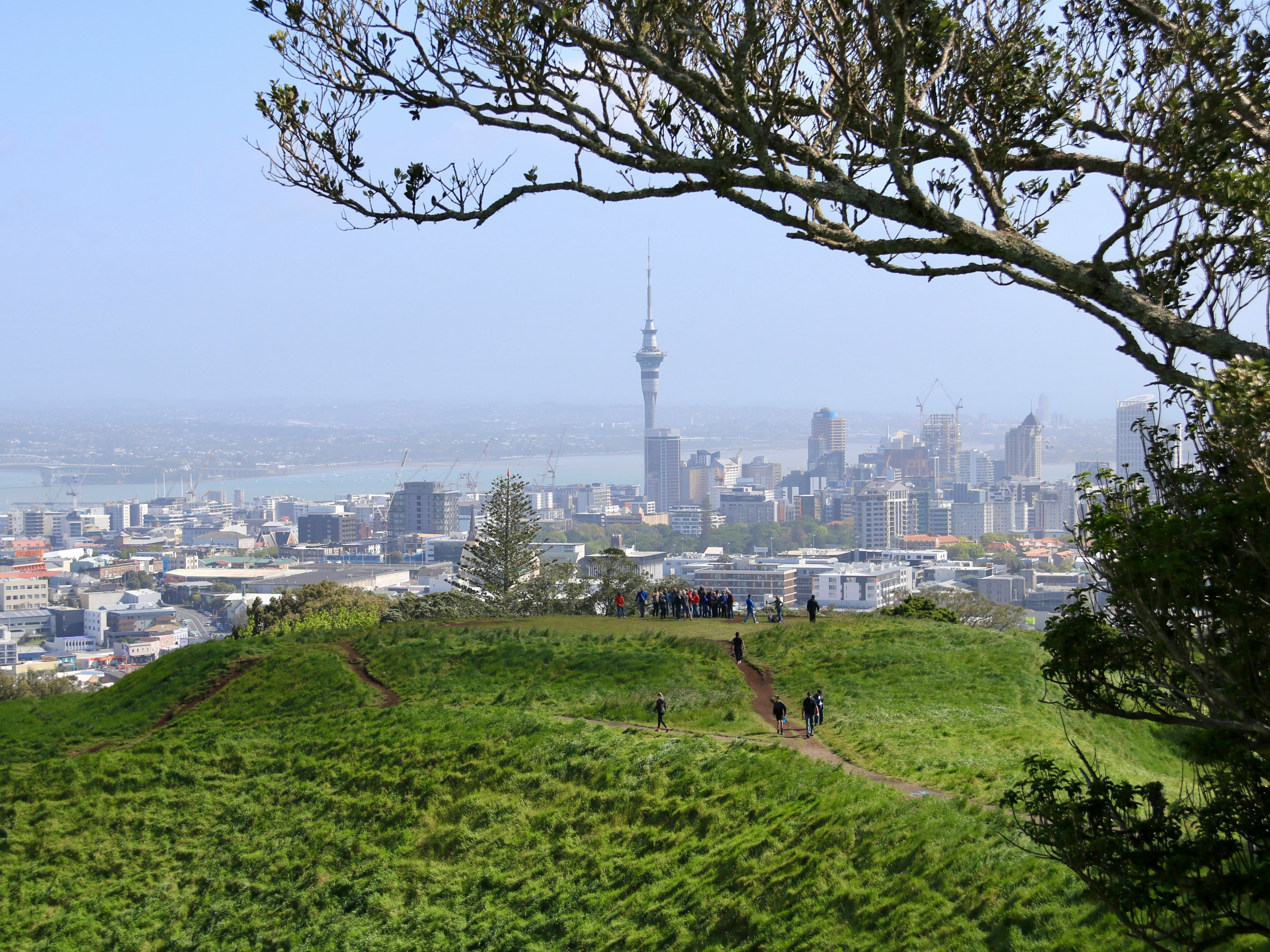 New Zealand — hero