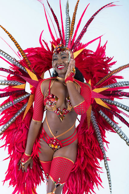 Red and gold, shoulder feathers catching the light — Miami Carnival