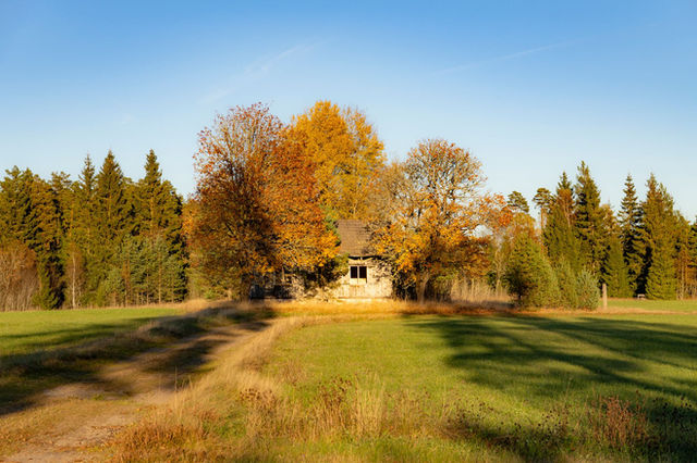A serene autumn scene with an abandoned cottage surrounded by colorful trees in Ljungby, Sweden.