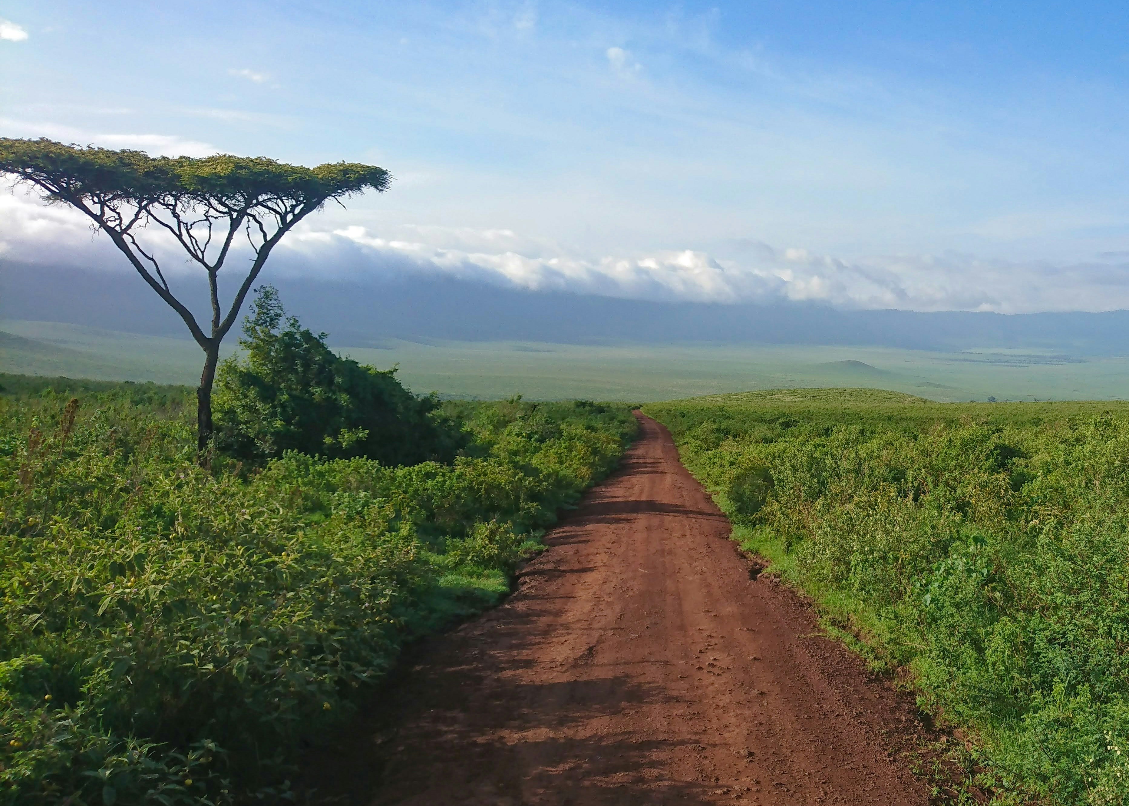 Tanzania — image 5
