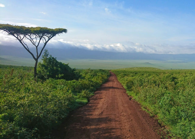 A view over Ngorongoro Crater
