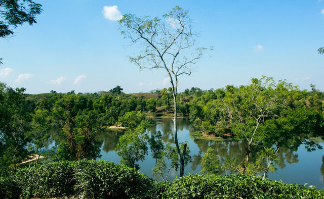 Serene landscape of Madhabpur Lake surrounded by lush greenery in Sylhet, Bangladesh.