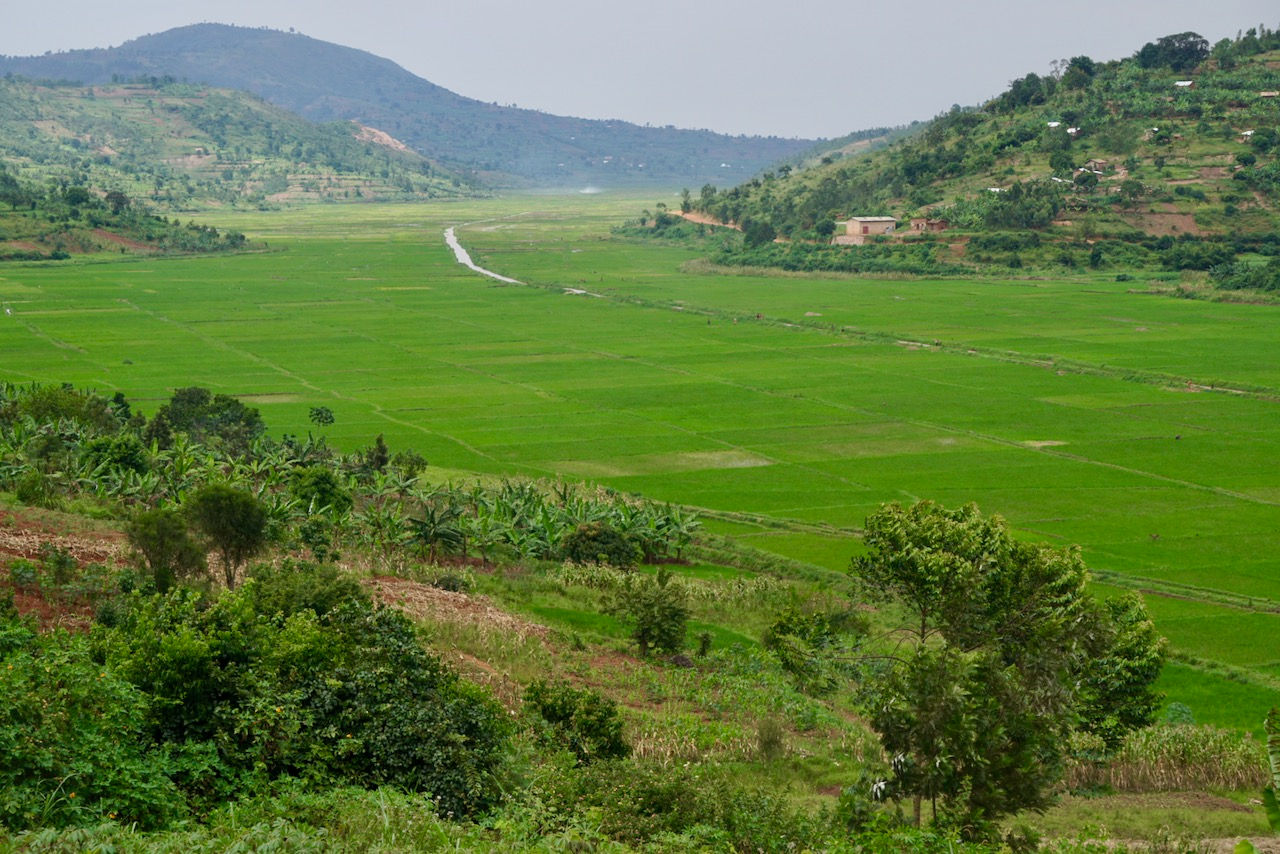 Rwanda — hero