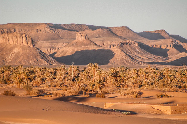 Panoramic view of Taghazout's desert landscape with palm oasis and rugged hills.