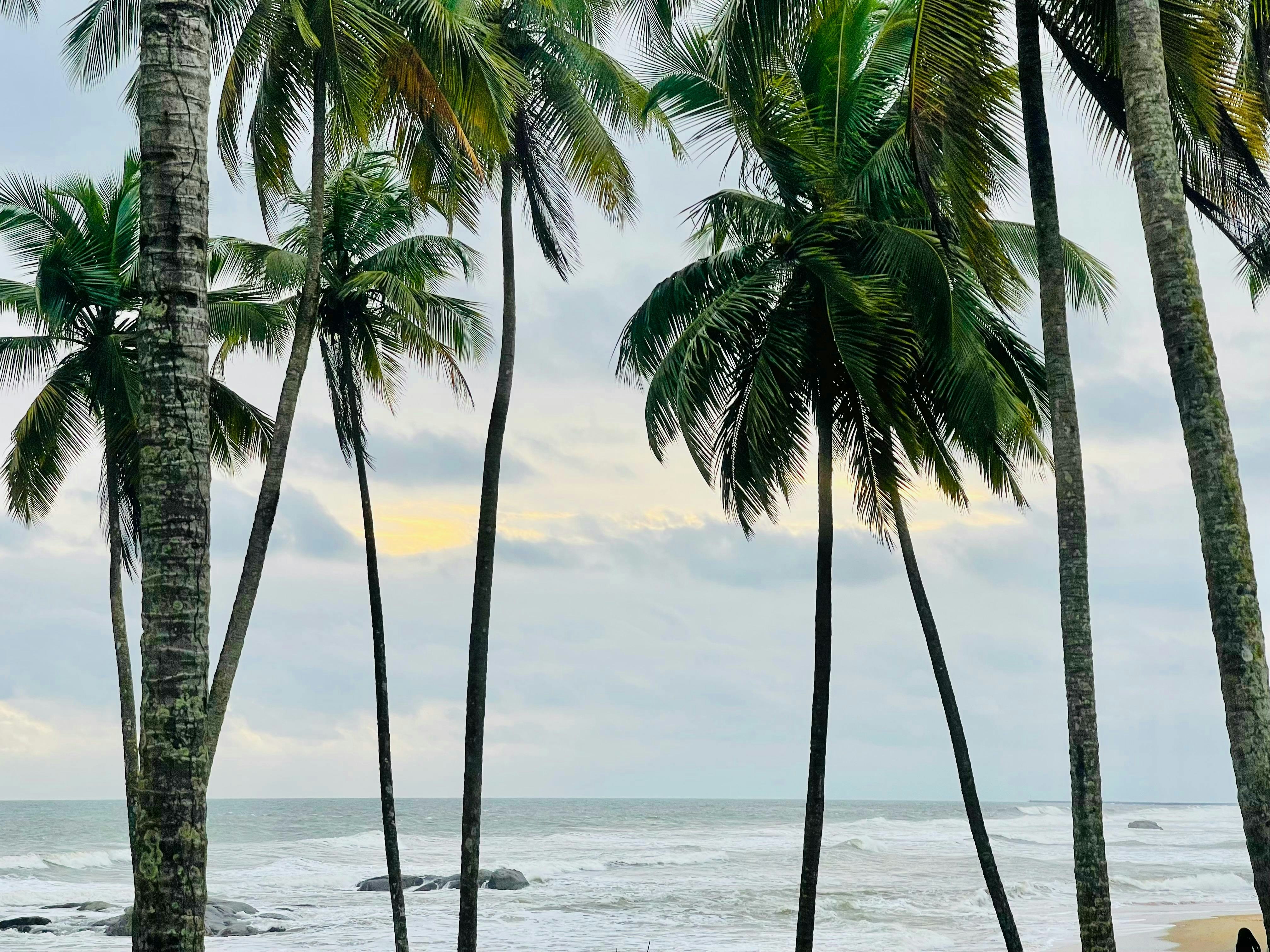 Liberia — image 3