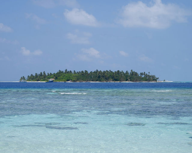 Island with lush trees surrounded by turquoise water.