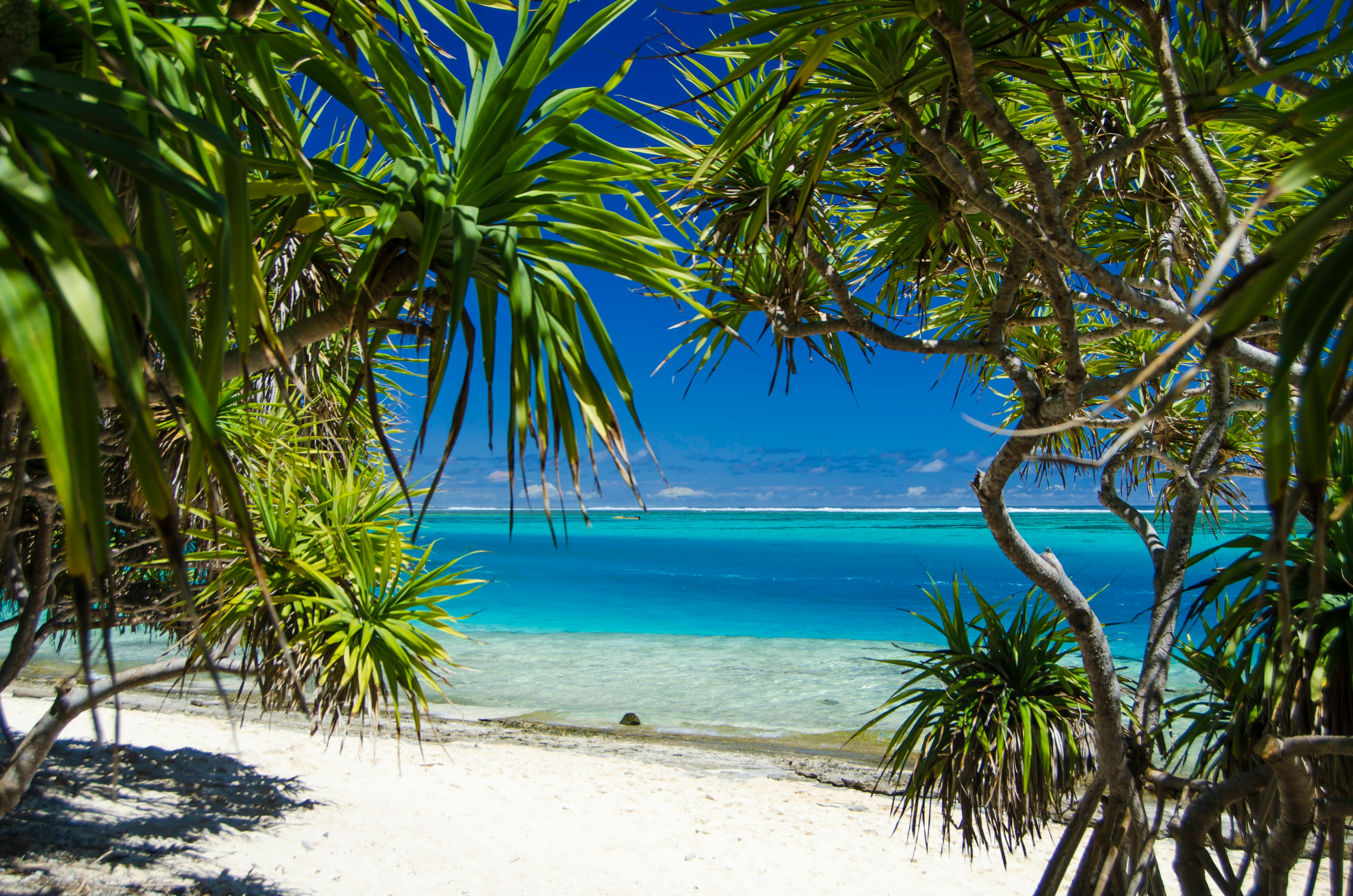 Vanuatu — image 2