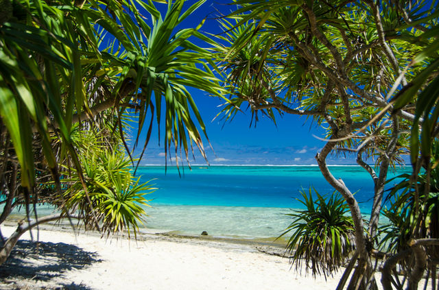 Beautiful beach background. Mystery Island, Vanuatu .