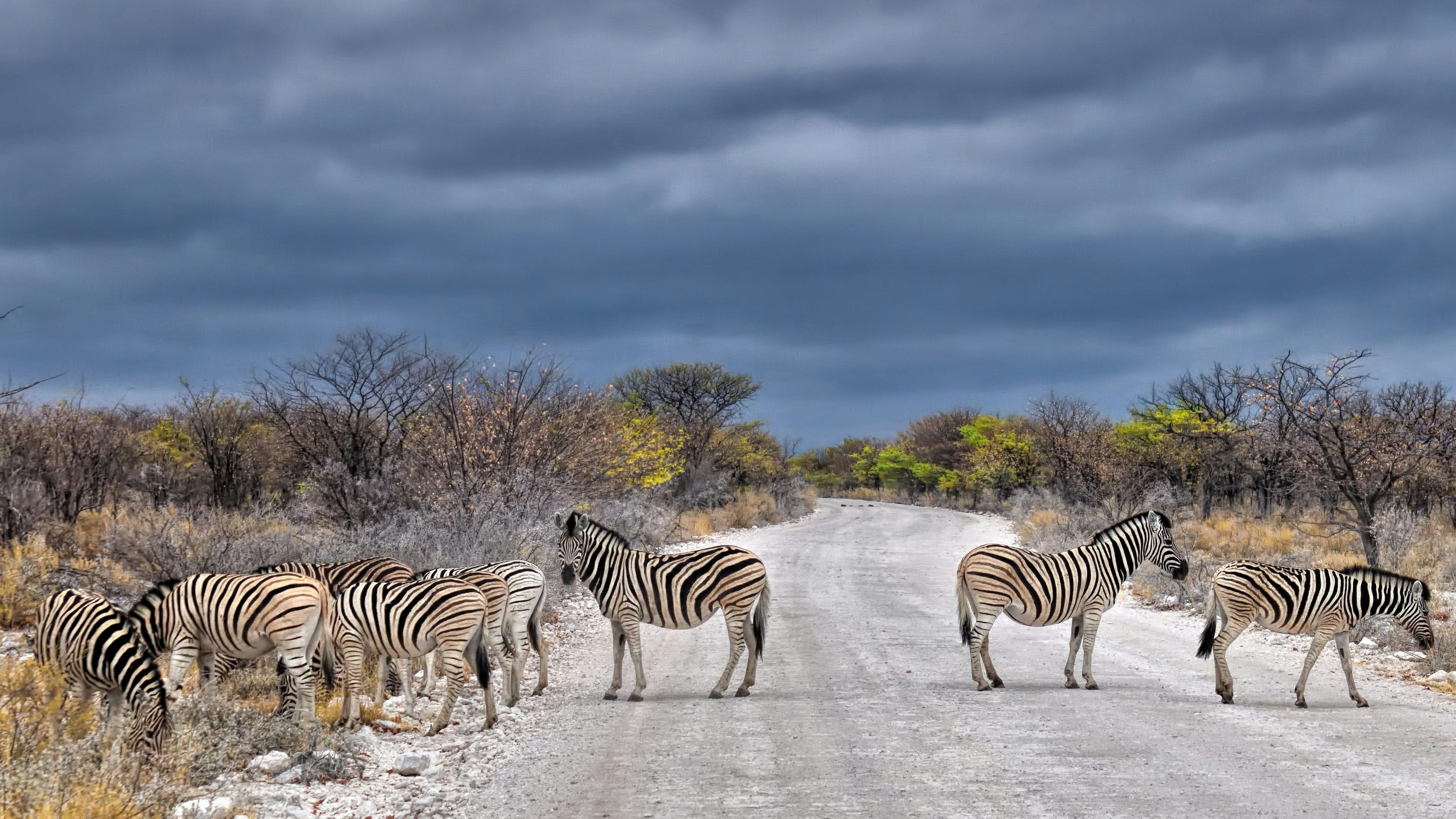 Namibia — image 5