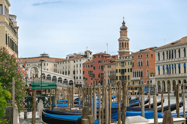 Picturesque view of gondolas on the Grand Canal in Venice, featuring the historic Rialto Bridge.