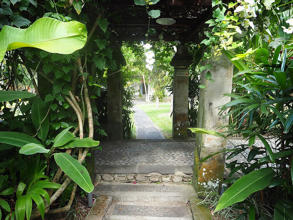 Ubud — photo 20