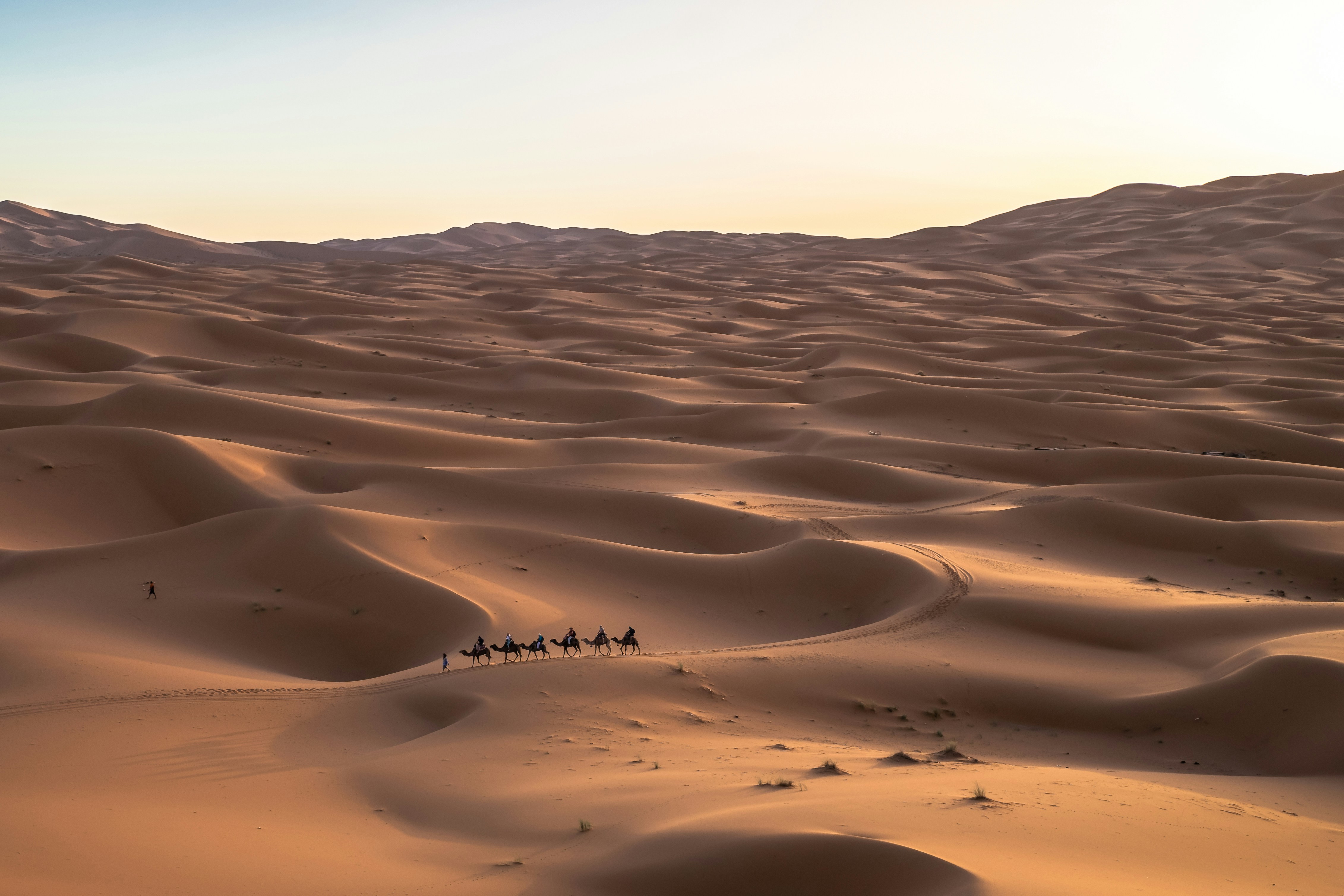 Saudi Arabia — image 3
