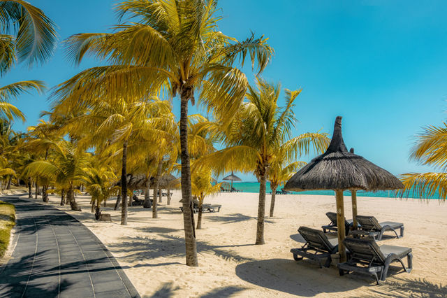 The golden palm trees