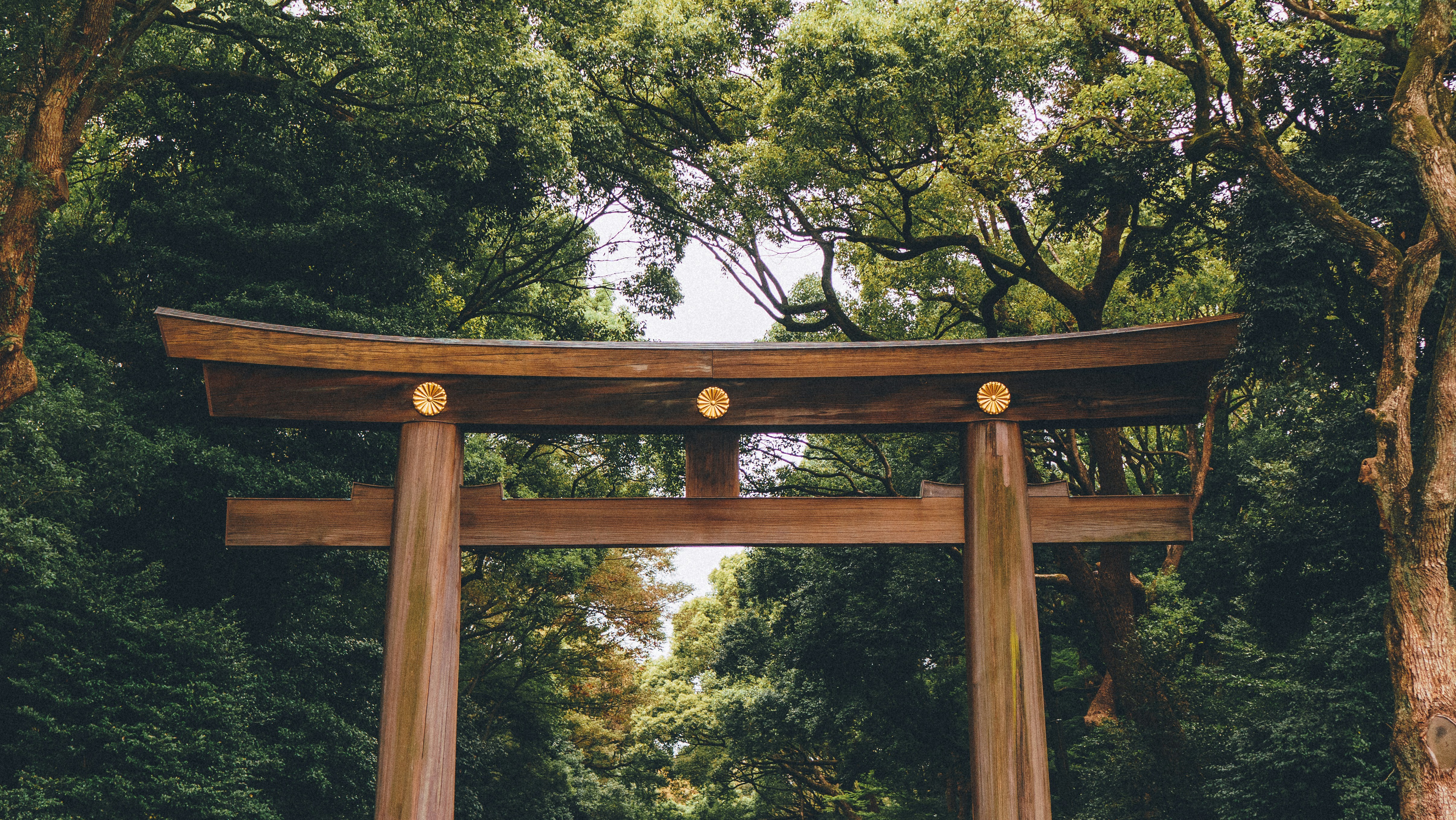 Japan — image 4