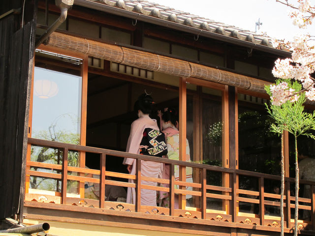 Maiko in Gion, Kyoto
